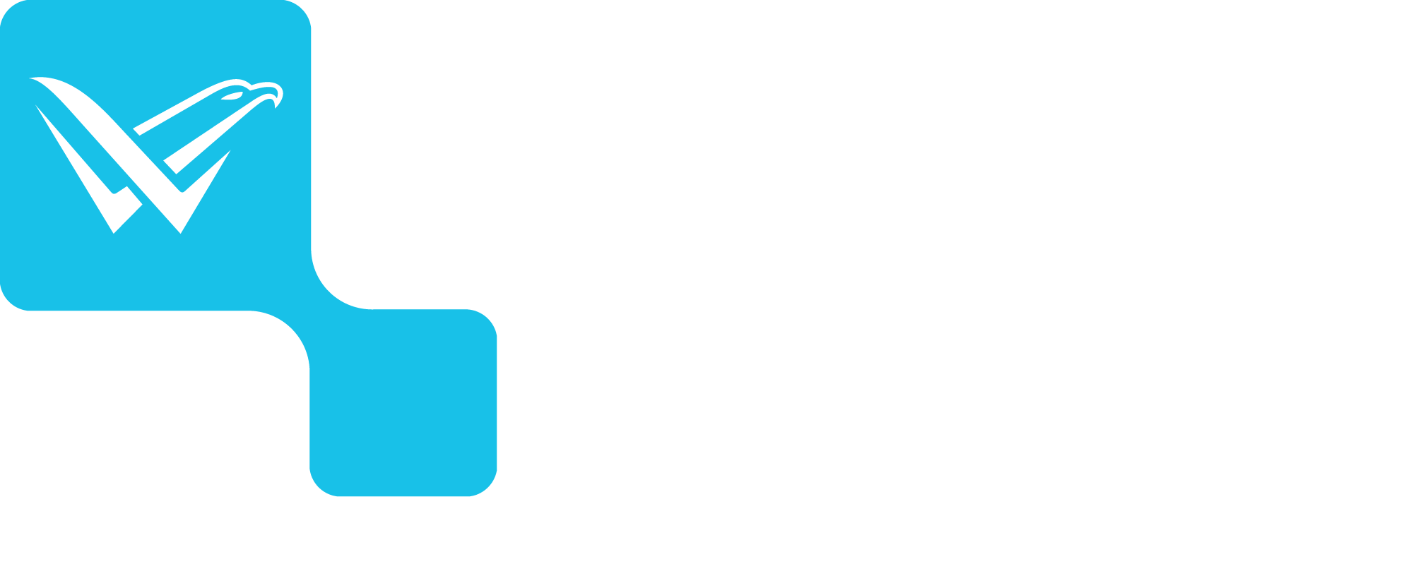 Villela Pro - Grupo Villela